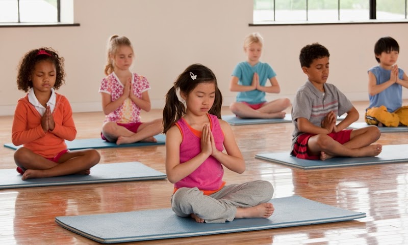 Ayurveda Yoga & Vedic Sciences College and Clinic photo 5