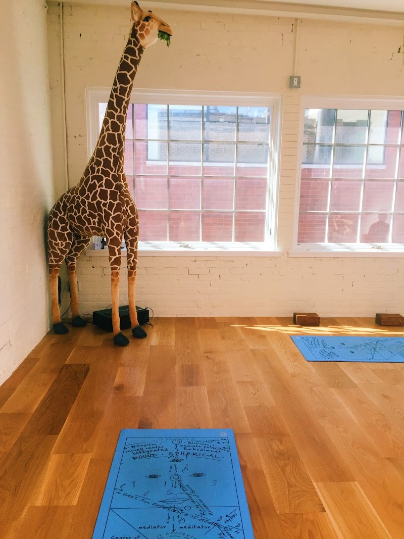 SKY TING YOGA – Yoga Studio in NOHO photo 3