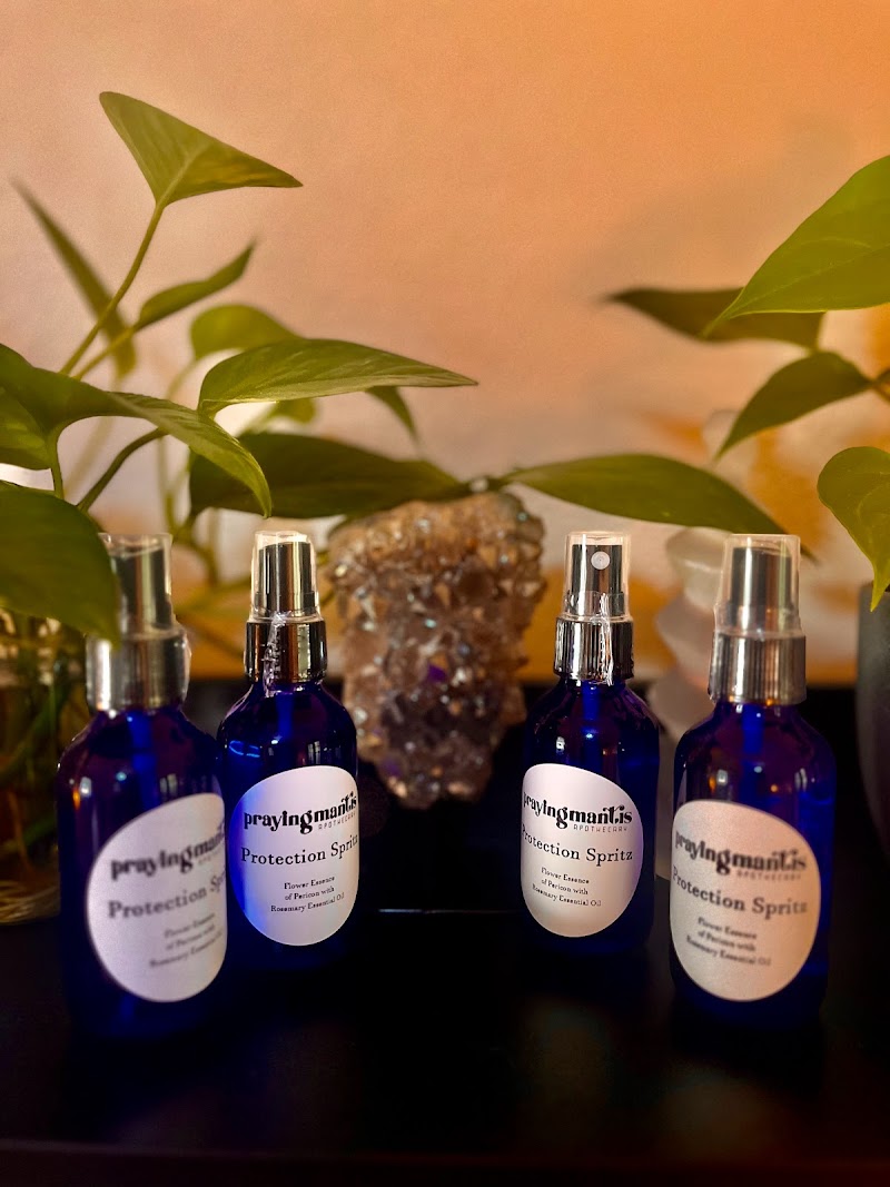 Olé Santé Holistic Arts photo 5