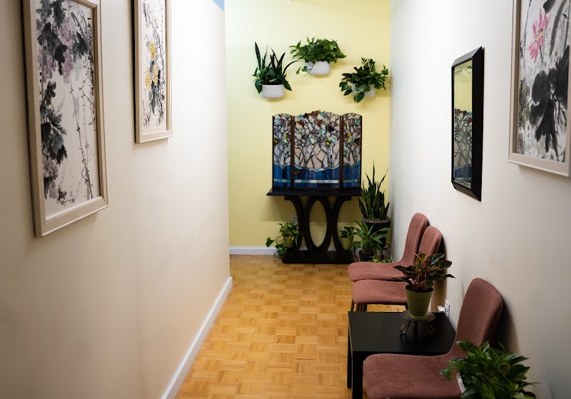 Susy Qi Acupuncture photo 2