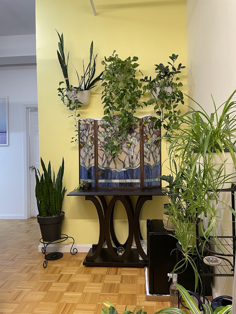 Susy Qi Acupuncture photo 5