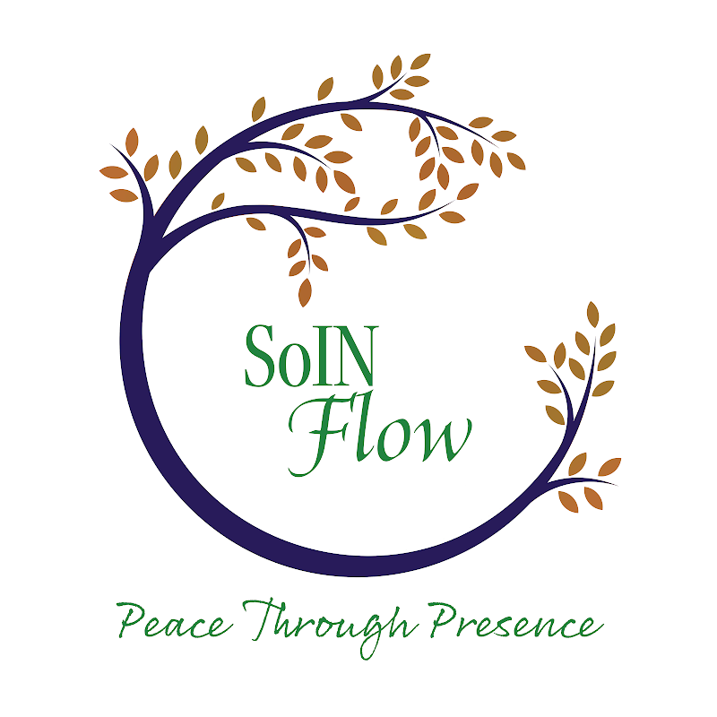 SoIN Flow LLC photo 2