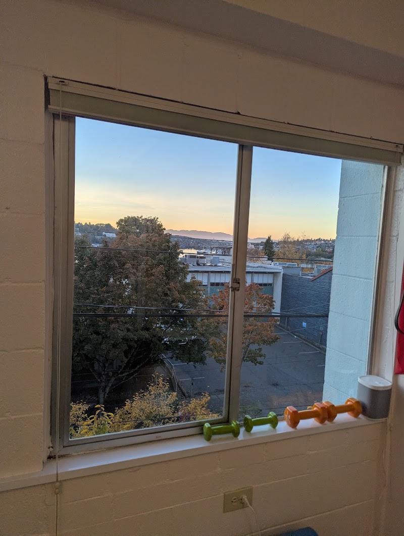 Active Seattle Chiropractic + Sports Therapy photo 2