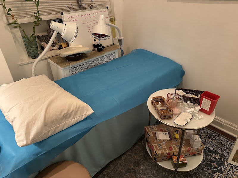 Kelly 121 Acupuncture photo 4