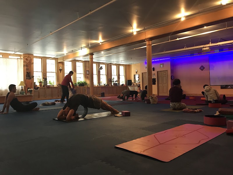 Dharma Yoga Center photo 2