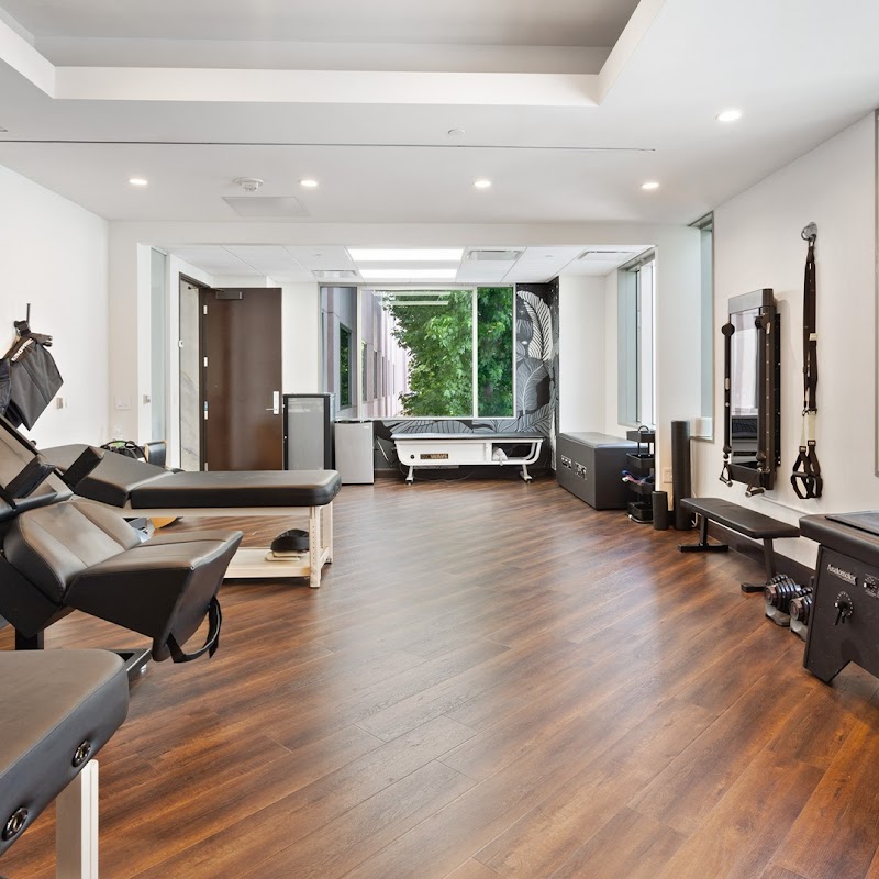 The Chiro Guy Chiropractic and Wellness Center photo 2