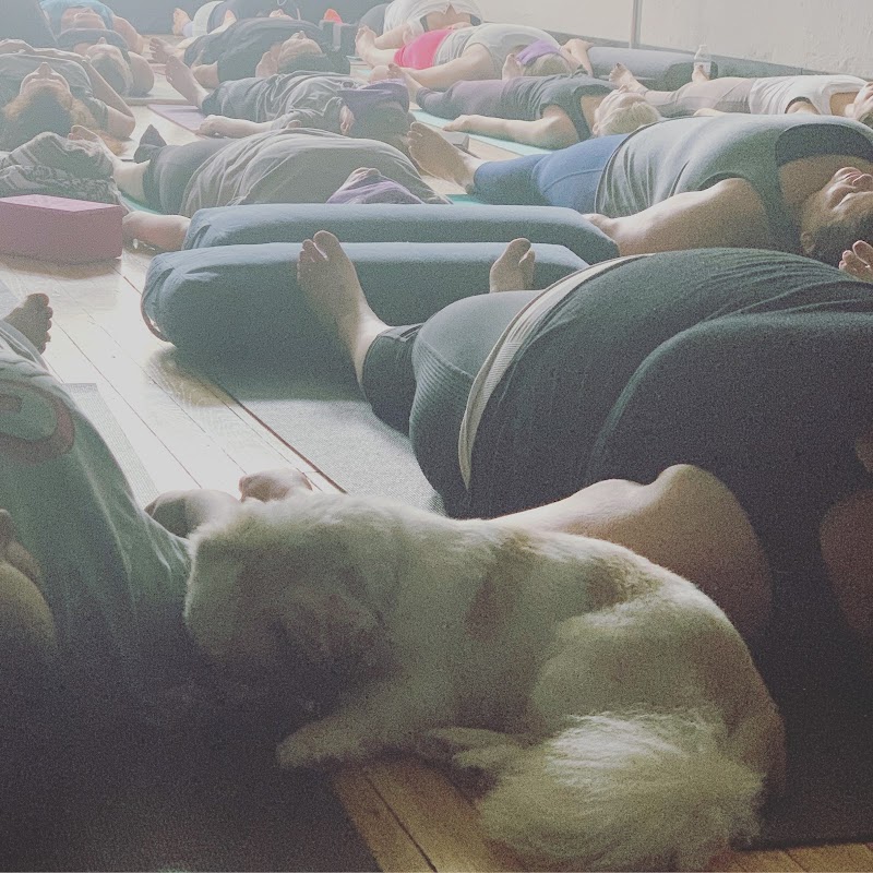 Jax Yoga photo 4