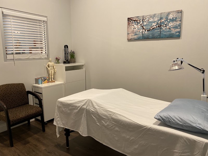 Lotus Hands Acupuncture & Herbal Medicine photo 2