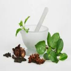 SuhaShri Vitality, Ayurveda Counselor And Practitioner photo 2