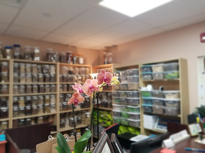 LOHAS ACUPUNCTURE AND HERBS photo 3