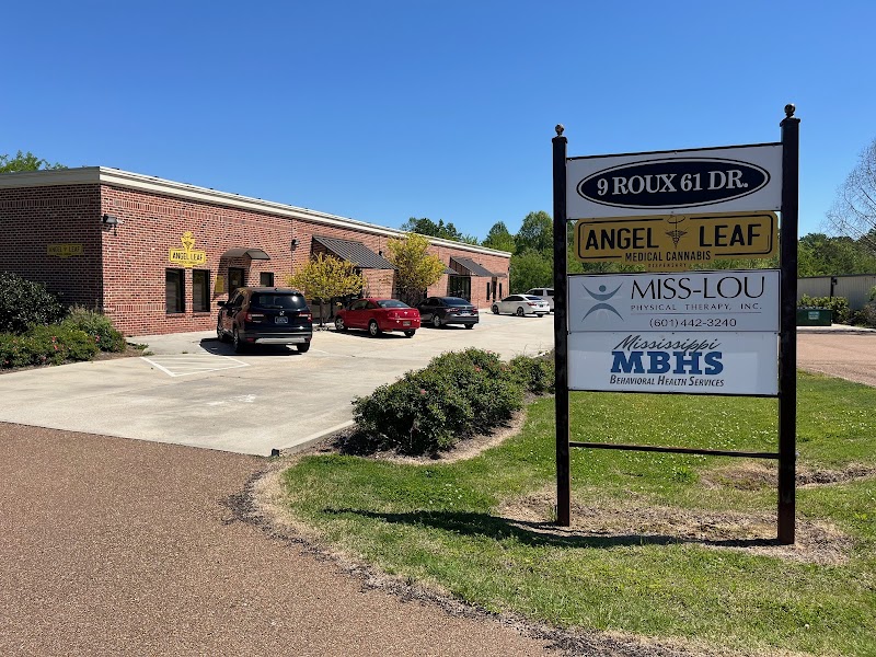 Miss-Lou Physical Therapy Inc photo 2