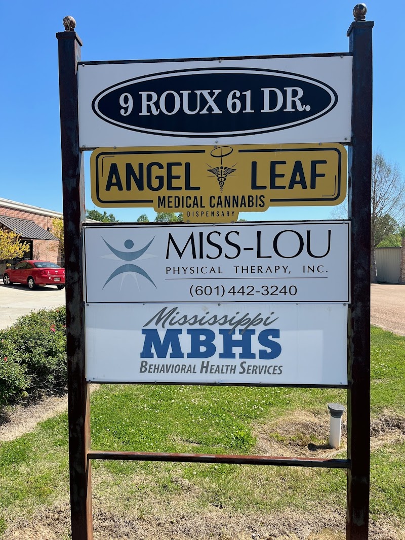 Miss-Lou Physical Therapy Inc photo 4