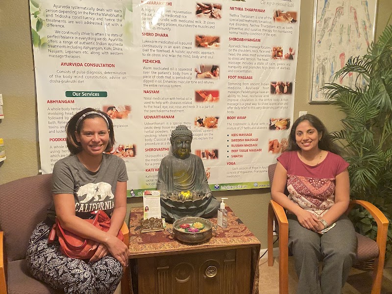 AyurVilla Wellness Center LLC photo 3
