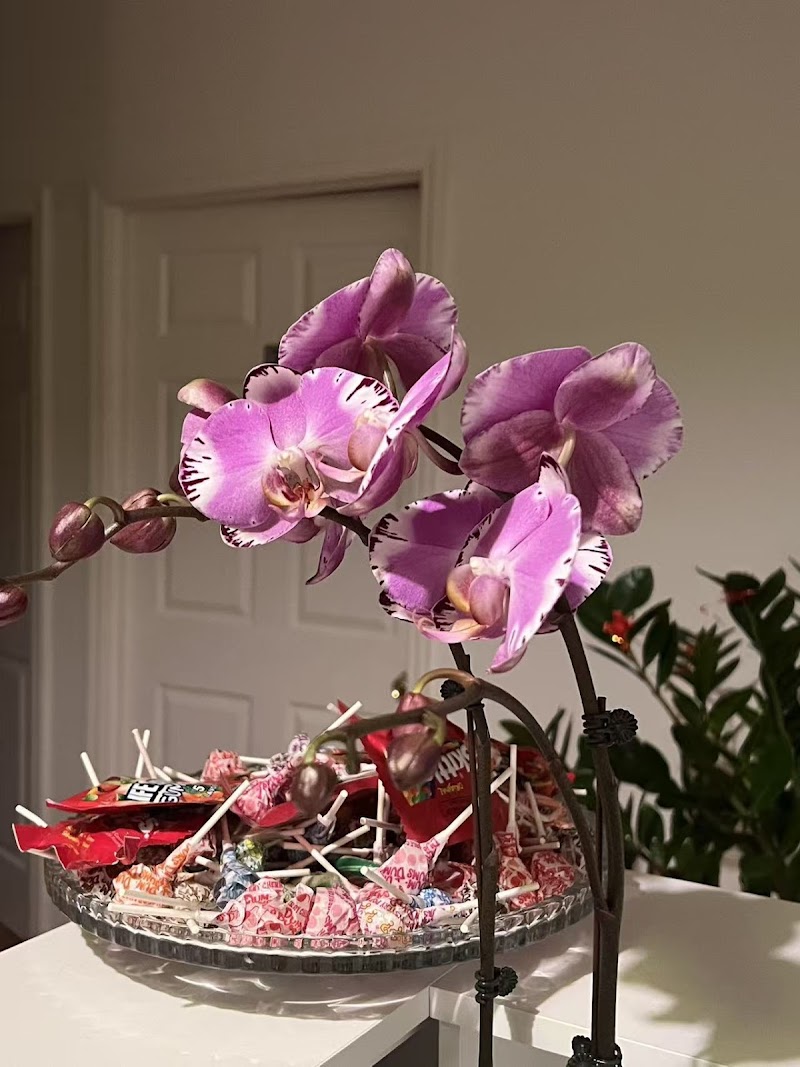 cozy garden spa photo 5