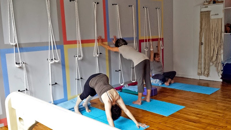 Samamkaya Yoga Back Care & Scoliosis Collective photo 3