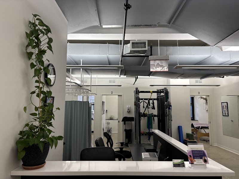 Fidi Chiropractic Wellness