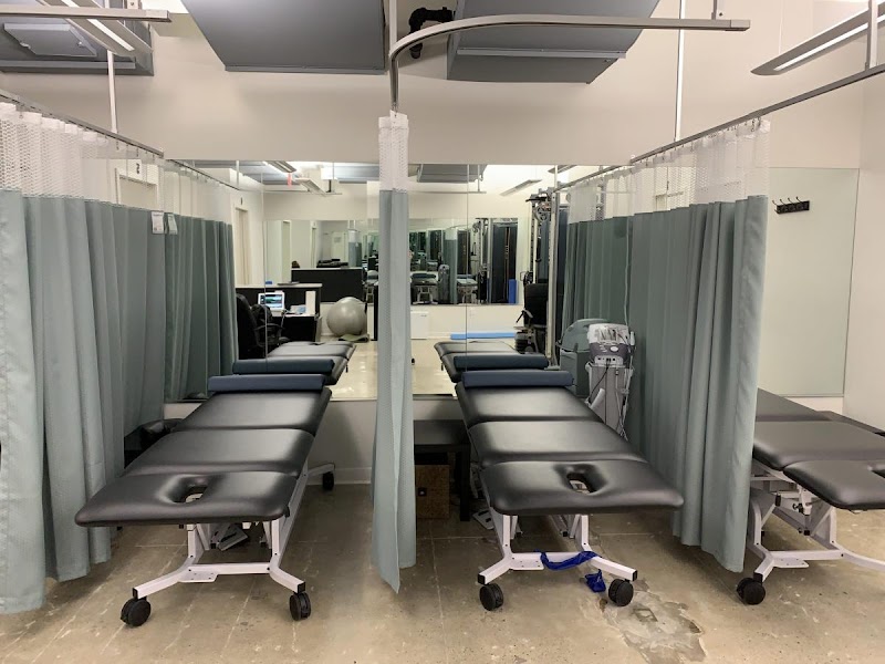 Fidi Chiropractic Wellness photo 5
