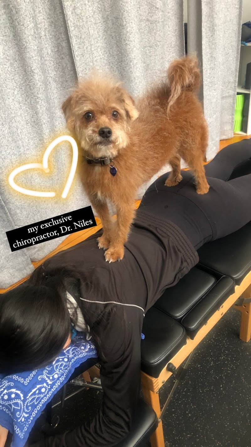 Encore Chiropractic photo 2