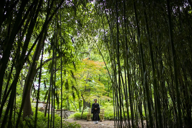 New York Zen Center for Contemplative Care photo 3