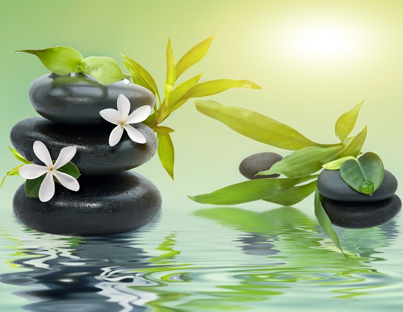 Wild Rose Medicine Acupuncture and Ayurveda photo 4