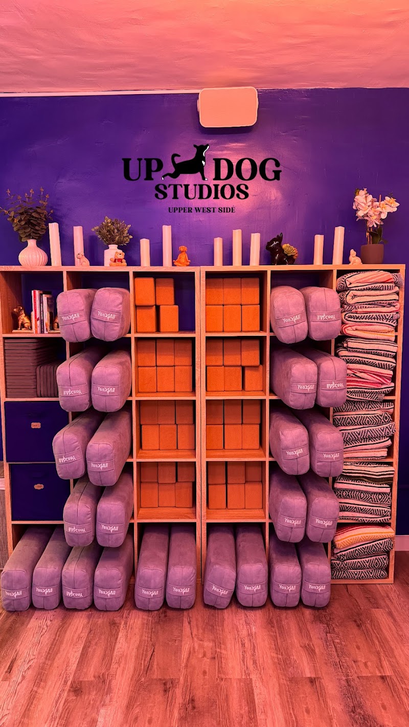 UpDog Studios Upper West Side photo 4