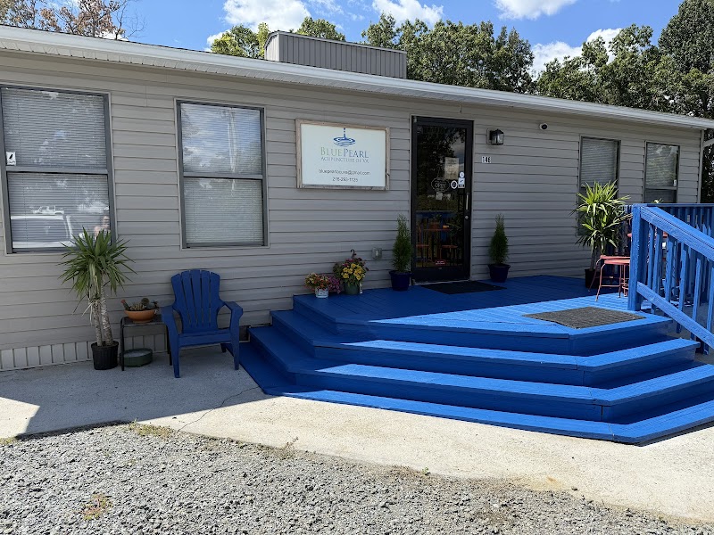 Blue Pearl Acupuncture of Virginia photo 2