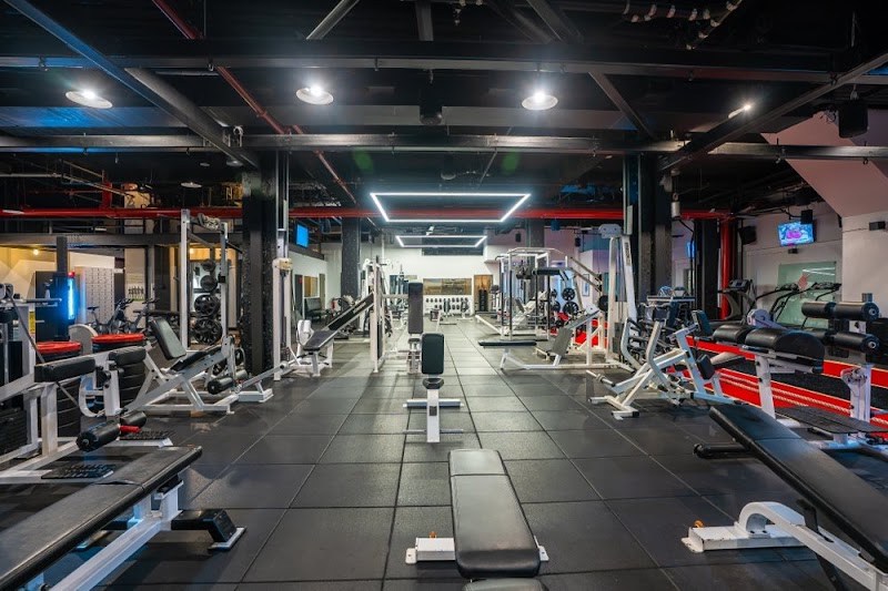 Marcel Jacobs PT - Human Movement Lab