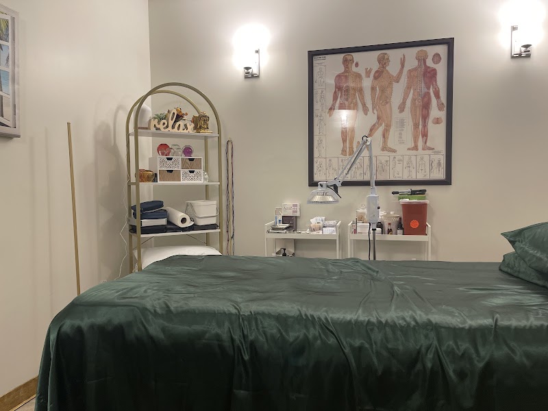 Forest Hills Acupuncture & Wellness photo 5