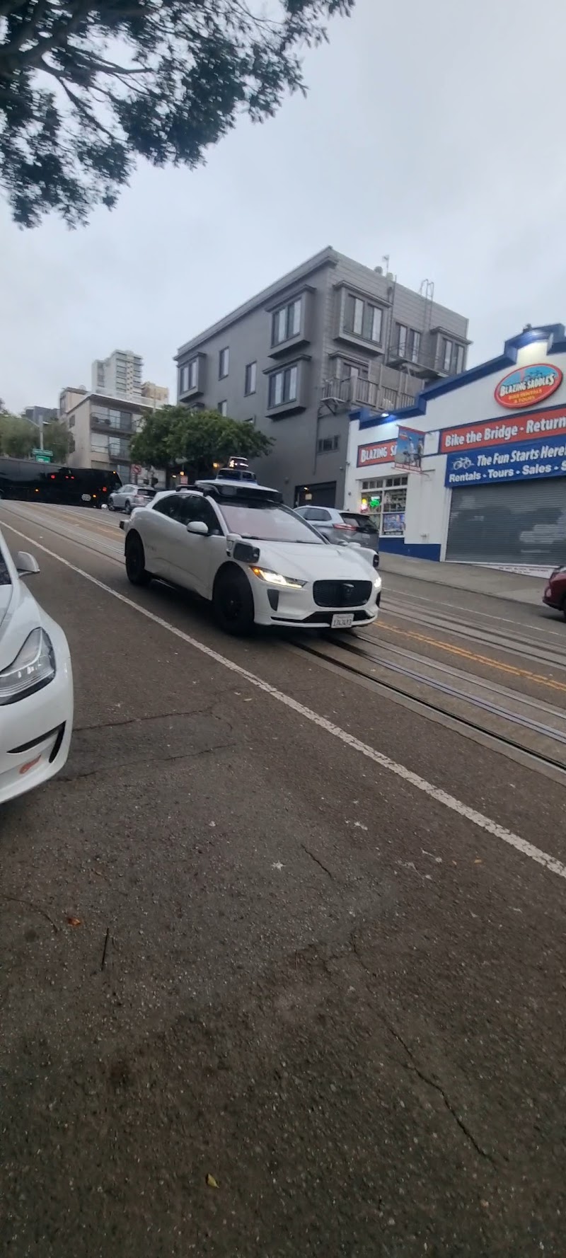 SF Custom Chiropractic - #1 Chiropractor Fisherman's Wharf Russian Hill photo 3