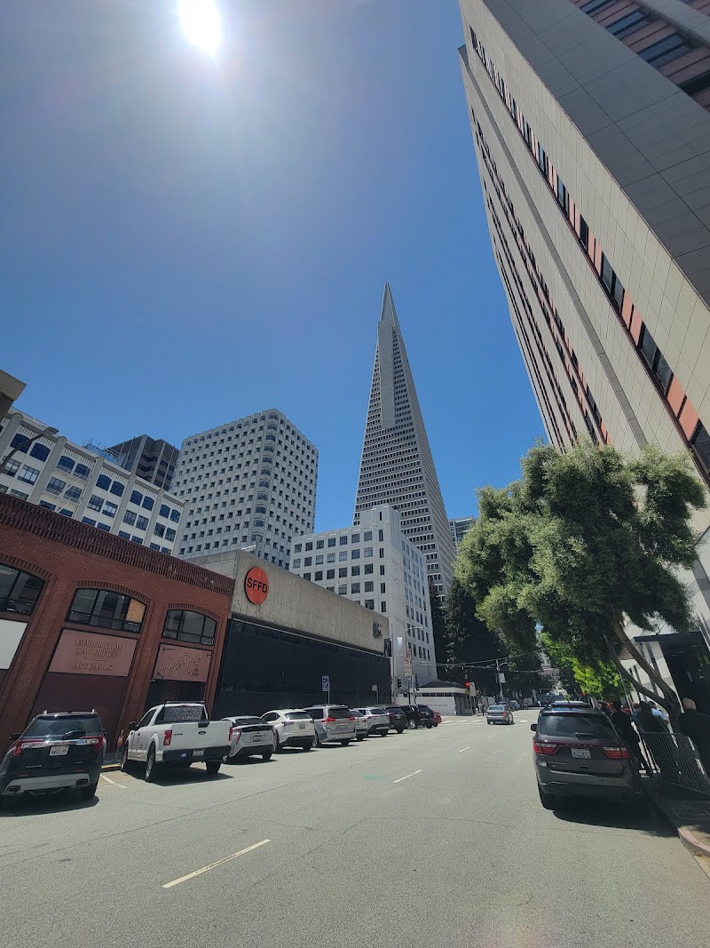 SF Custom Chiropractic - #1 Chiropractor Fisherman's Wharf Russian Hill photo 4