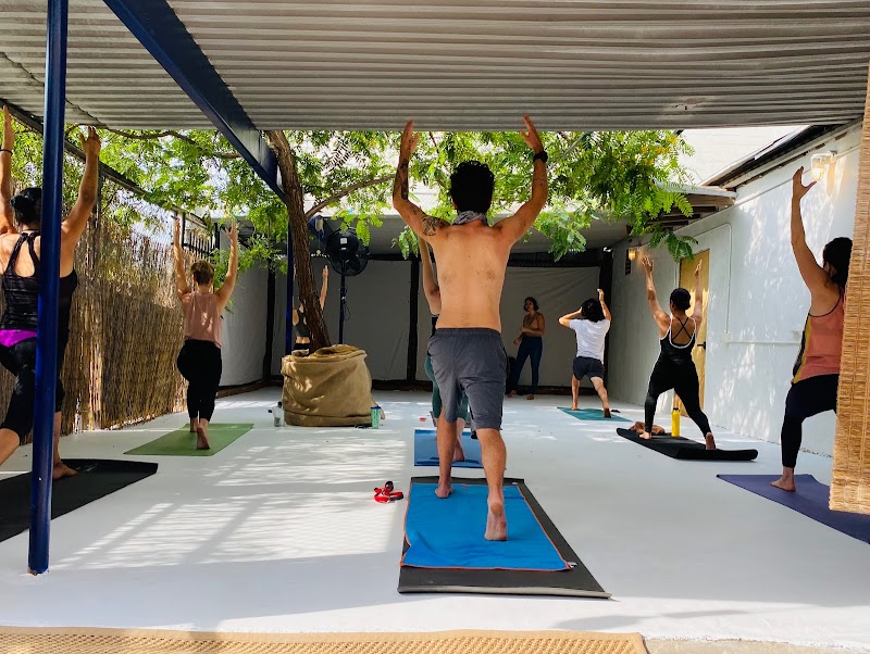 Kinship Yoga photo 5