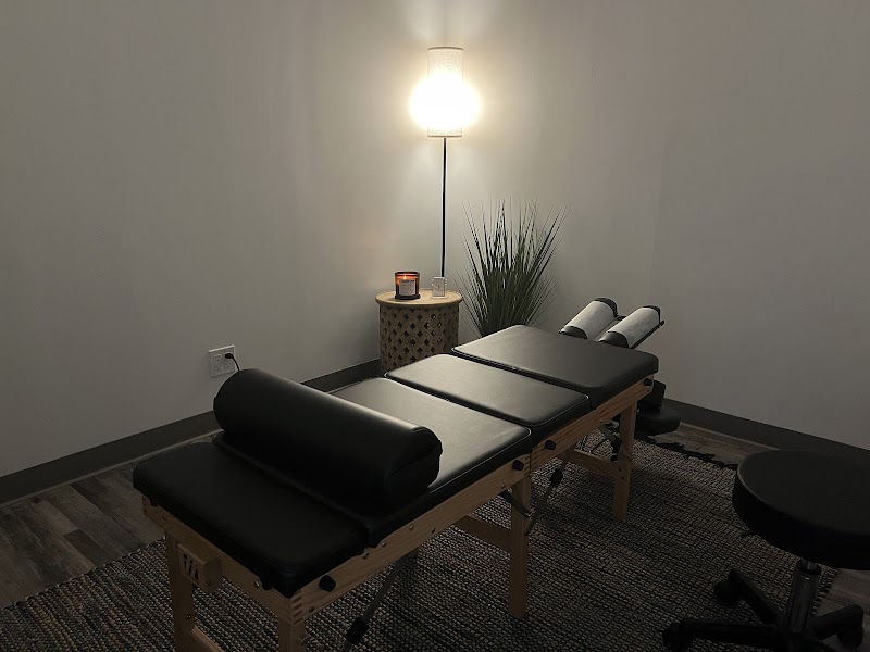 Dr. Monisha Mallik Chiropractor photo 2