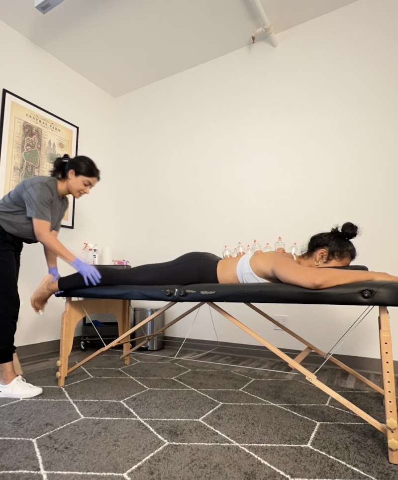 Dr. Monisha Mallik Chiropractor photo 3