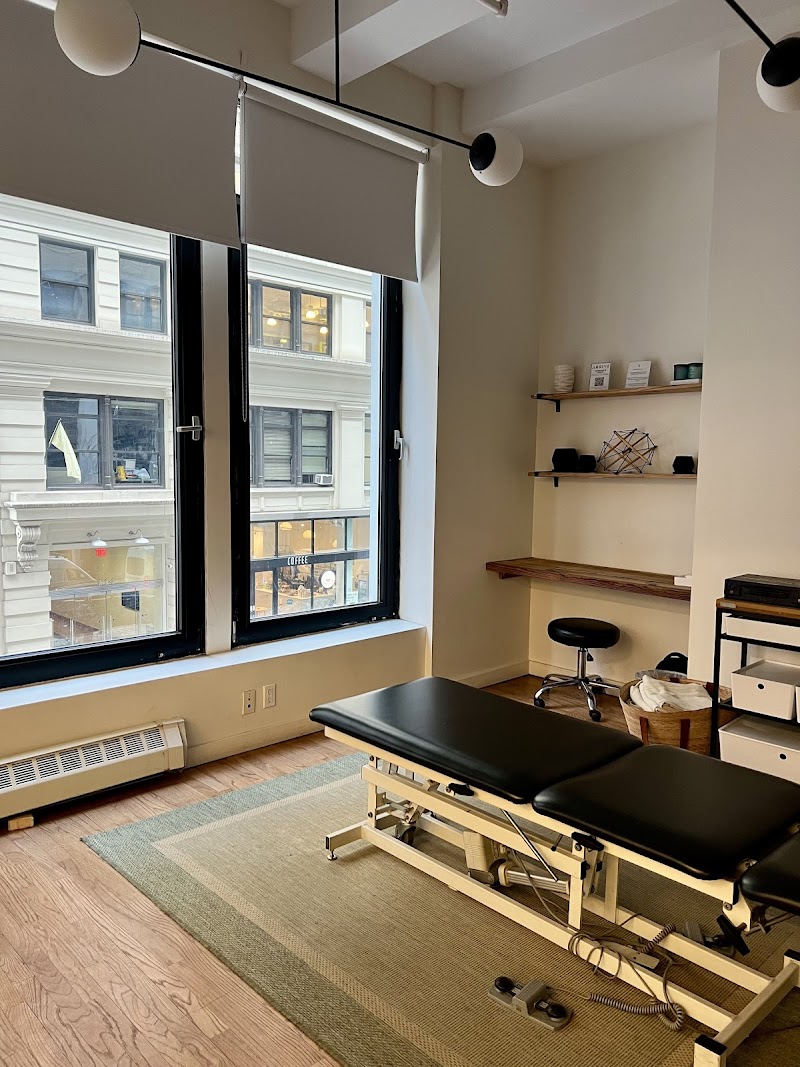 Dr. Monisha Mallik Chiropractor photo 5