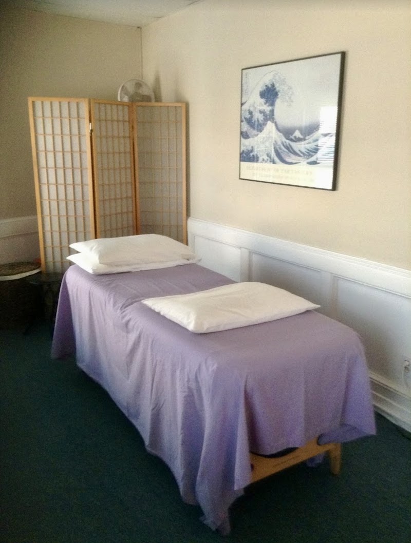 Healing with Ankitha - Hudson Healing Arts