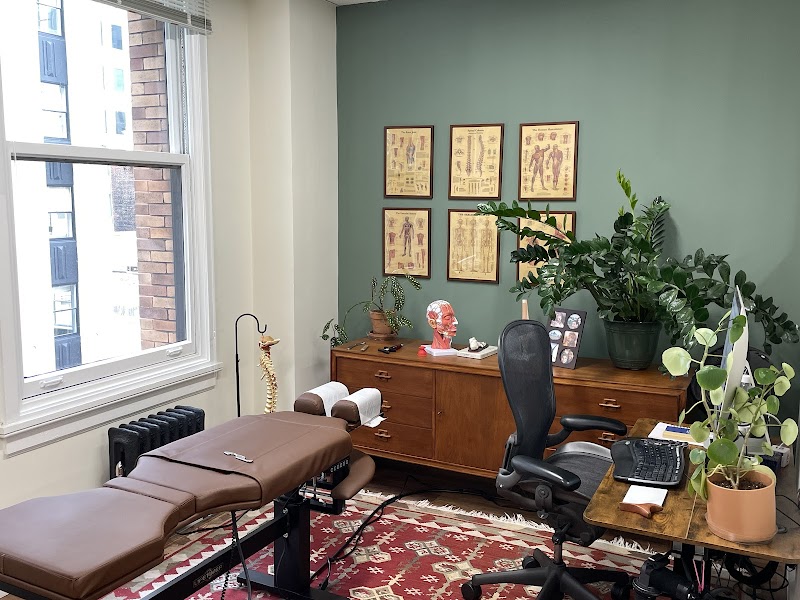 ProActive Chiropractic photo 3