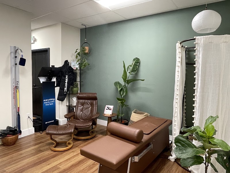 ProActive Chiropractic photo 5