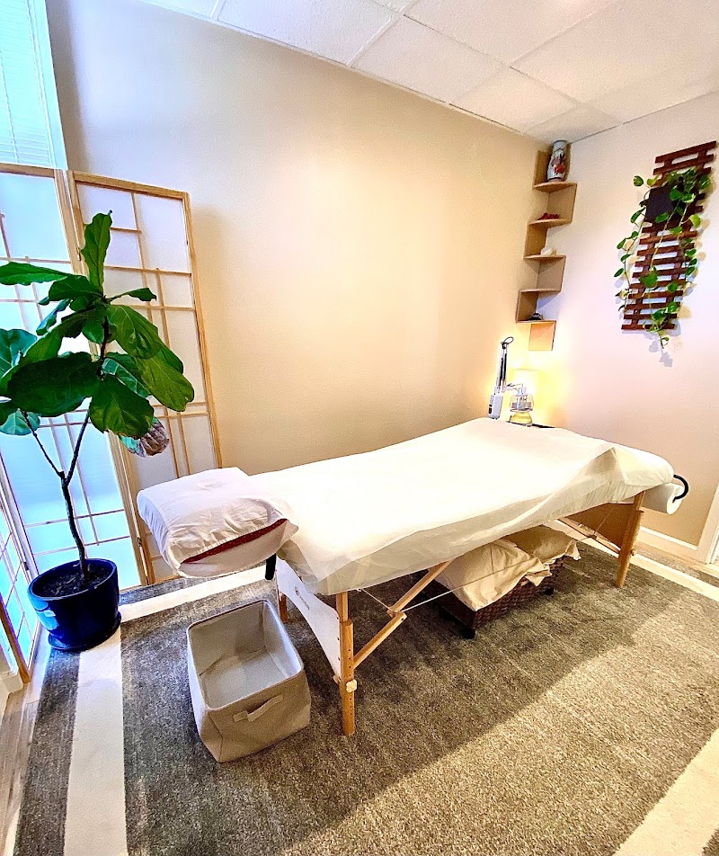 BF Acupuncture photo 3