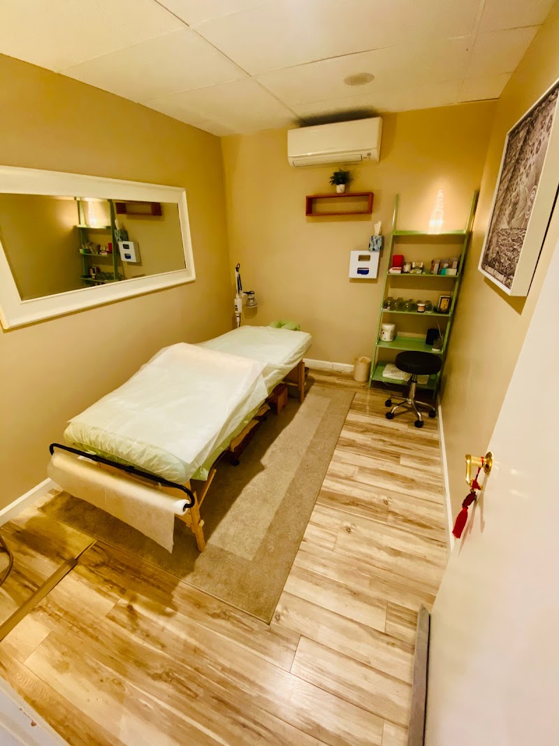 BF Acupuncture photo 4