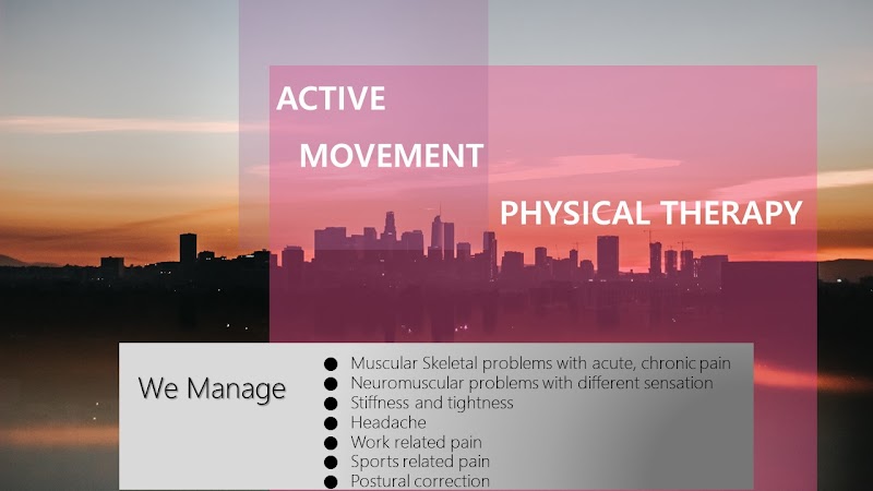 ACTIVE MOVEMENT PHYSICAL THERAPY P.C.