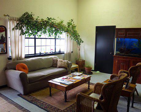 Austin Quan Yin photo 3