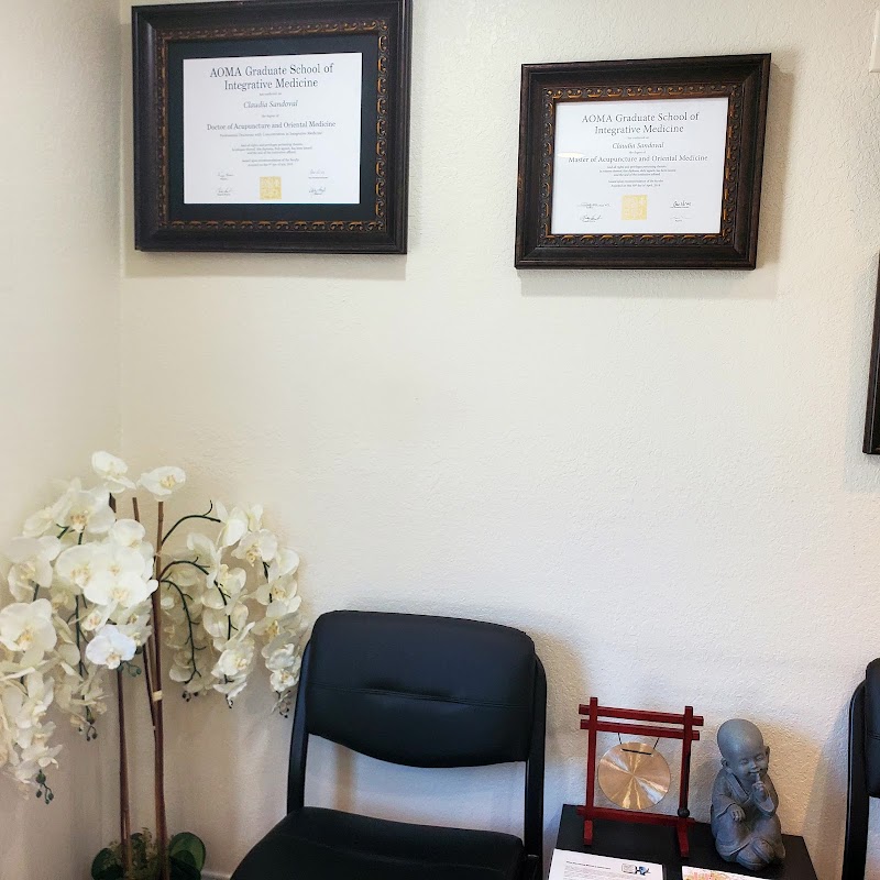 The Point Acupuncture And Dry Needling Clinic photo 4