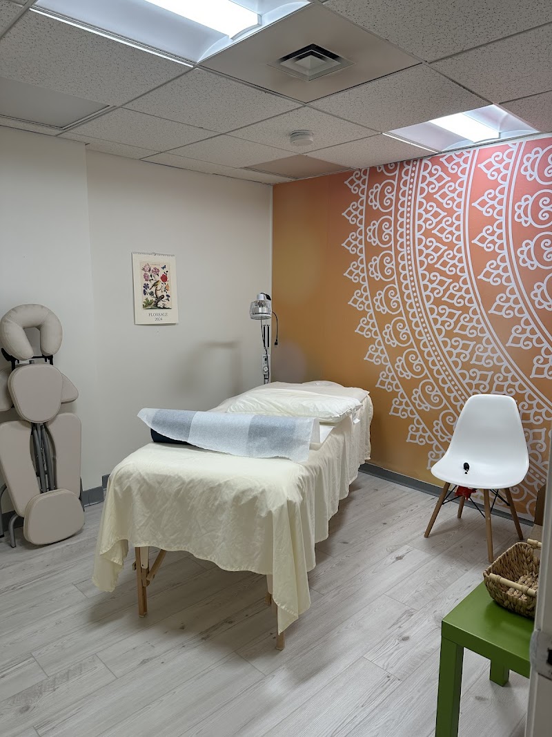 heidrunjacobi acupuncture photo 3