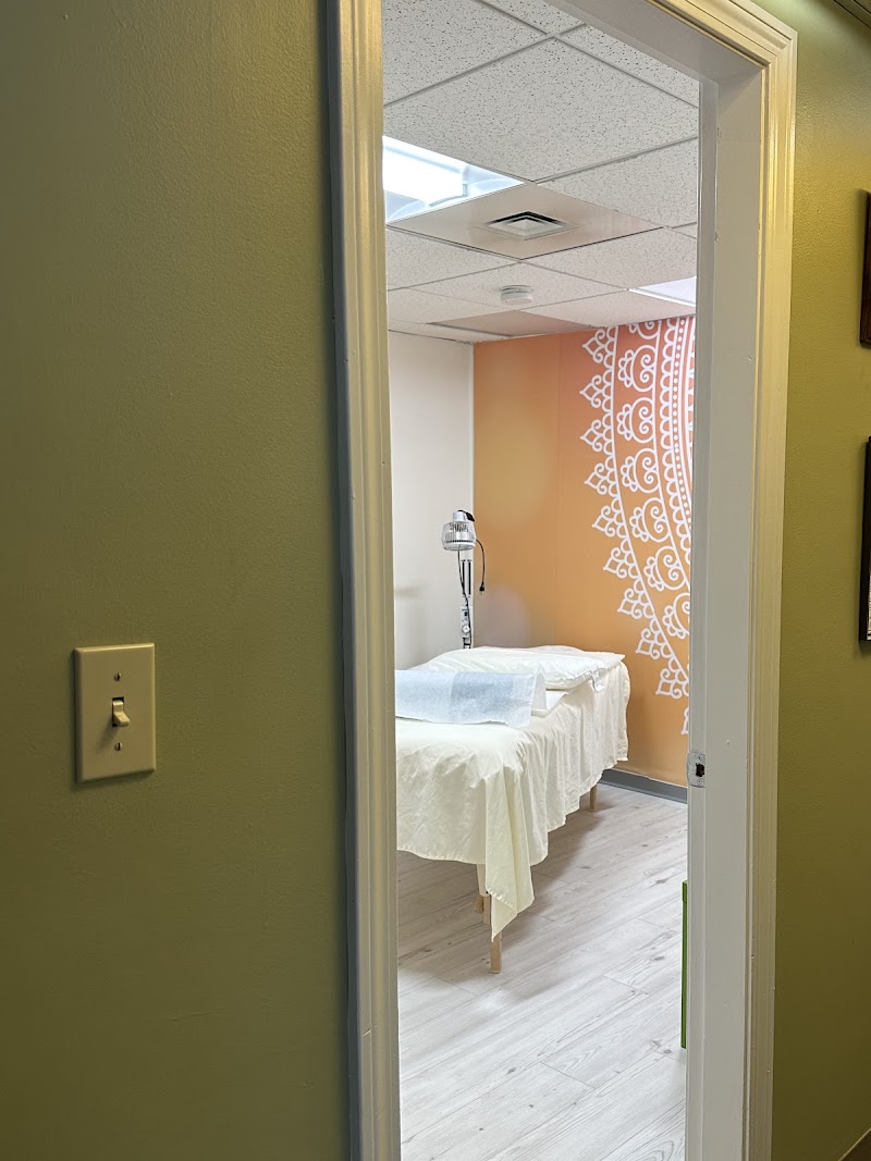 heidrunjacobi acupuncture photo 5