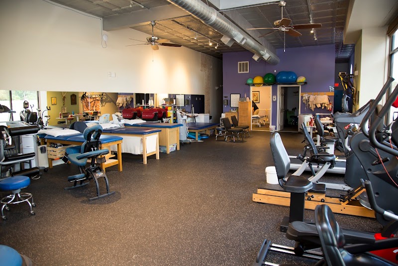 Buena Vida Physical Therapy & Wellness