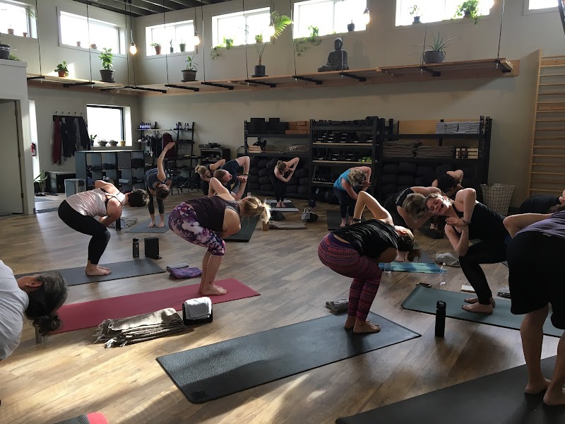 A Work In Progress : Yoga Studio photo 3