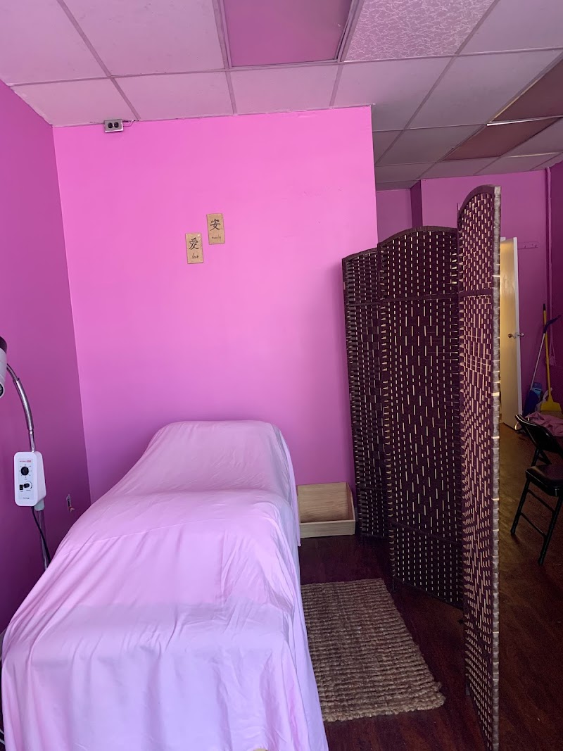 L.E.A.R.A. Acupuncture & Wellness Studio