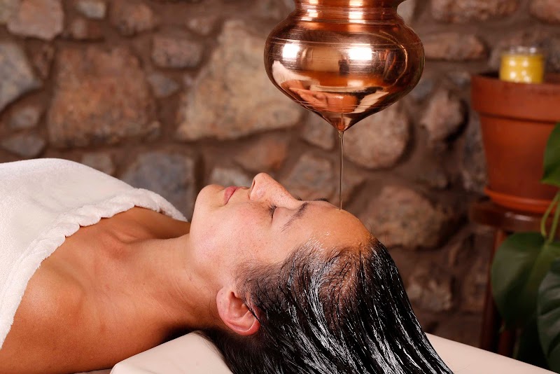 Ayo Ayurveda photo 5