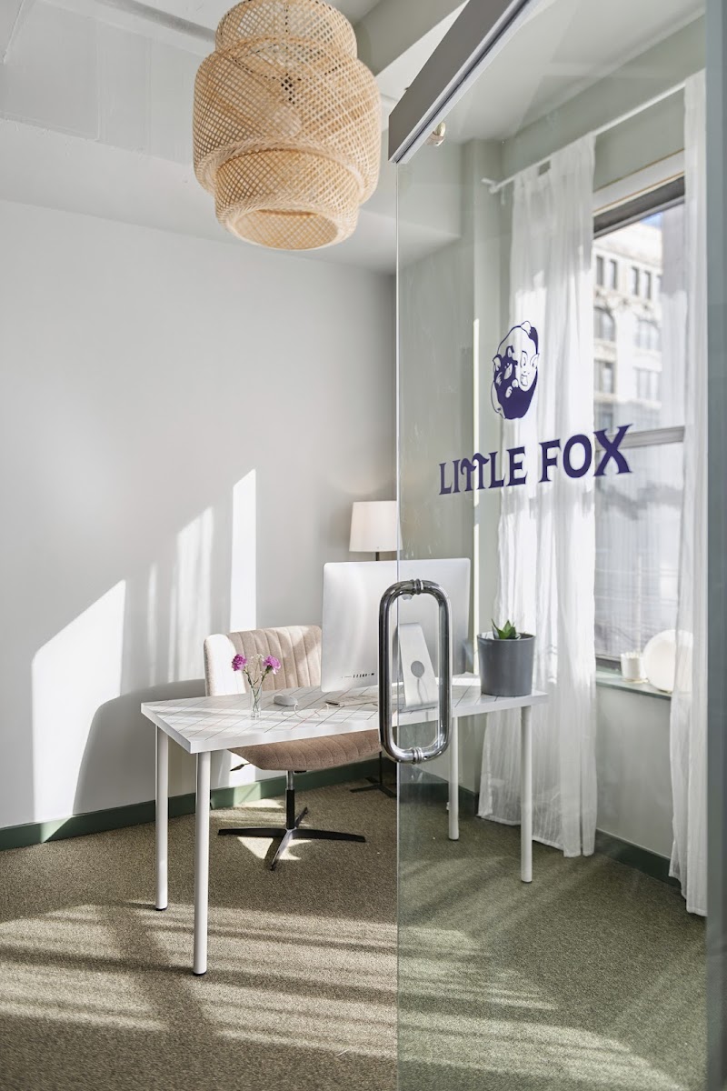 Little Fox photo 4