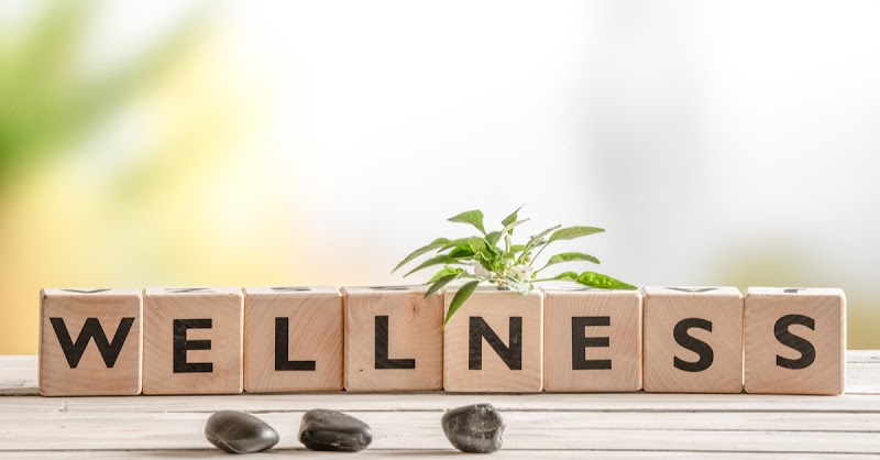Tierra Wellness Center